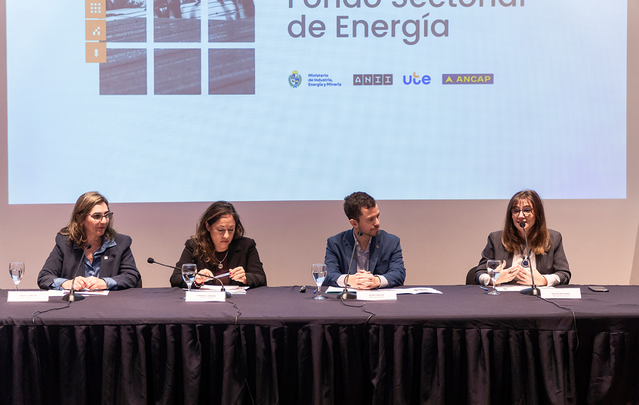 Fondo Sectorial de Energía 2026: abrieron las postulaciones para una nueva convocatoria