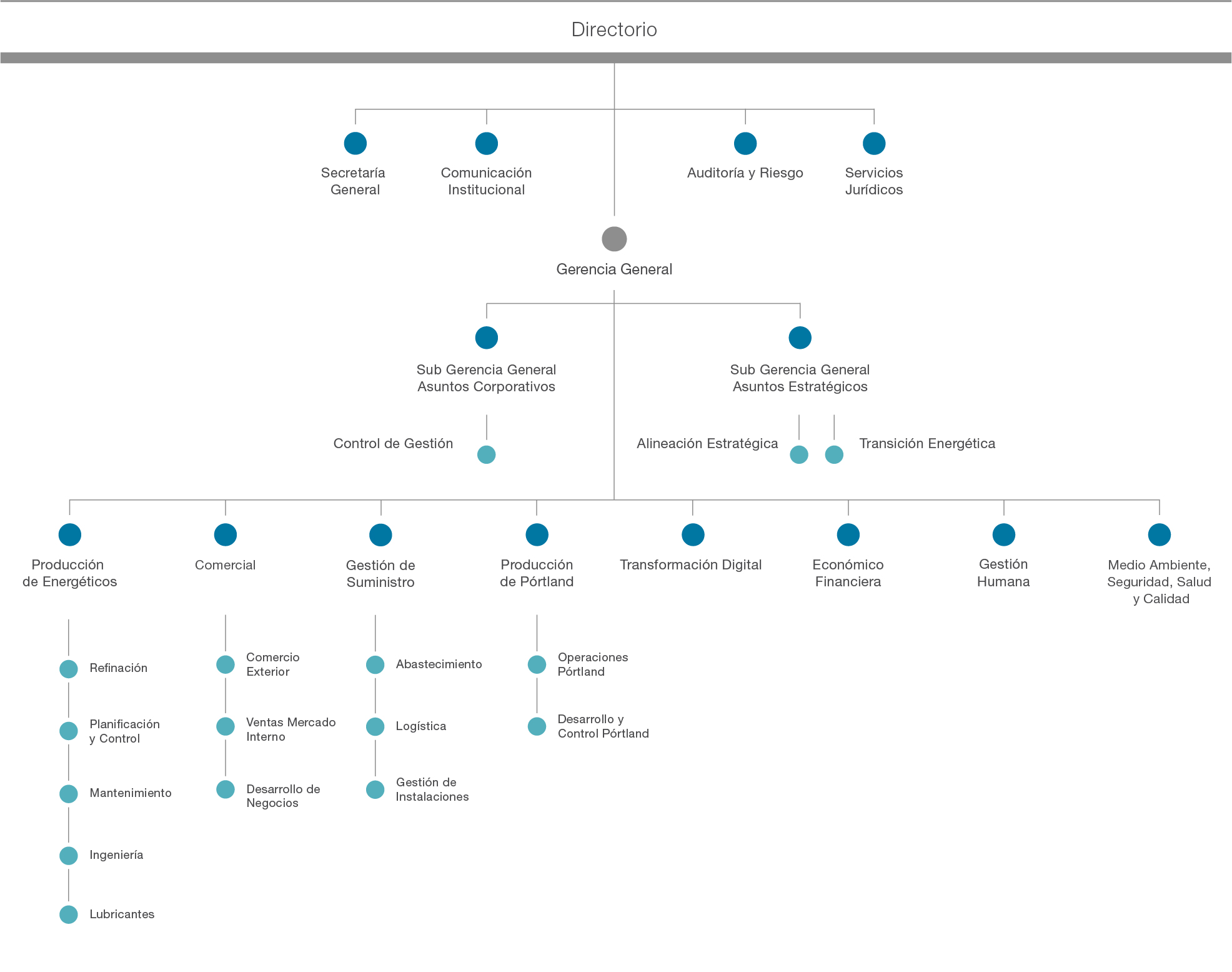 Organigrama